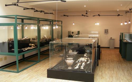 Museo archeologico Monterenzio (BO)